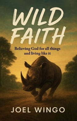 Wild Faith: Believing God for All Things and Living Like It