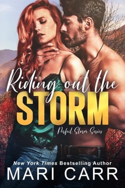 Riding out the Storm - Perfect Storm, #4