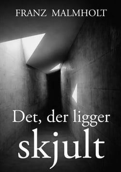 Det der ligger skjult - En roman om ansvar