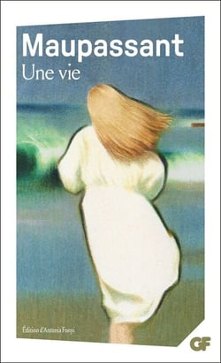 Une vie