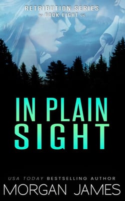 In Plain Sight - Retribution Series, #8