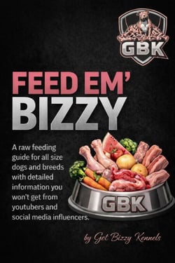 "Feed Em Bizzy"  A Raw Feeding Guide for Dogs (Natural Nutrition &amp; Muscle Building Diet)”