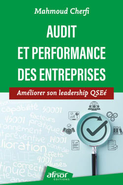 Audit et performance des entreprises - Améliorer son leadership QSEé