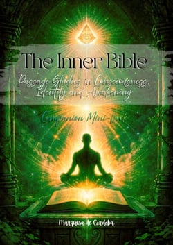 Companion: The Inner Bible Passage Studies Companion - Beyond History, #2