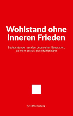 Wohlstand ohne inneren Frieden - Beobachtungen aus dem Leben einer Generation, die mehr besitzt, als sie fühlen kann