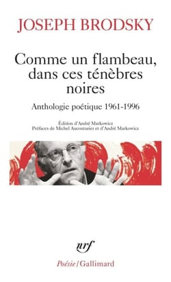 Comme un flambeau, dans ces ténèbres noires