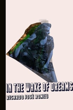 In the Wake of Dreams