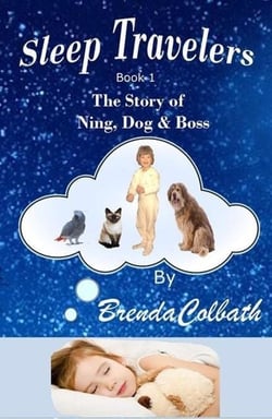 The Story of Ning, Dog, and Boss - Sleep Travelers, #1
