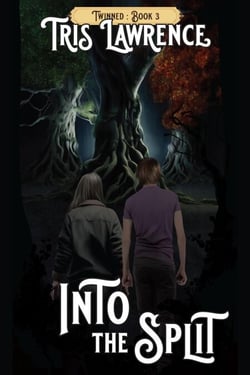 Into the Split - Twinned, #3