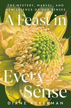 A Feast in Every Sense - The Mystery, Marvel, and New Science of Our Senses