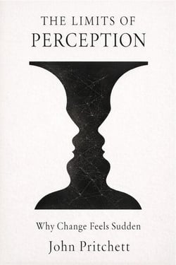 The Limits of Perception: Why Change Feels Sudden