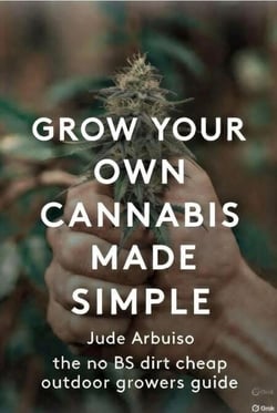 Grow your own cannabis made simple