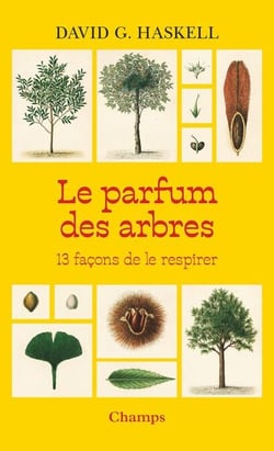 Le parfum des arbres. 13 façons de le respirer