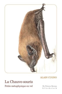 La Chauve-souris - Petite métaphysique en vol