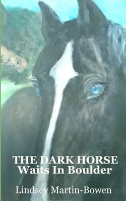 The Dark Horse Waits in Boulder