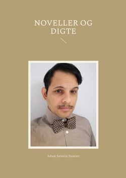 Noveller og digte