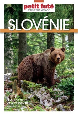 Guide Slovénie 2026 Carnet Petit Futé