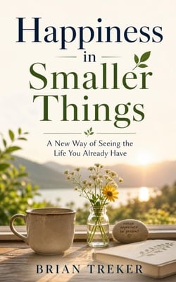 Happiness in Smaller Things : A New Way of Seeing the Life You Already Have