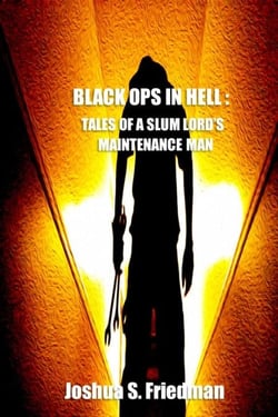 Black Ops In Hell:  Tales of a Slumlord's Maintenance Man