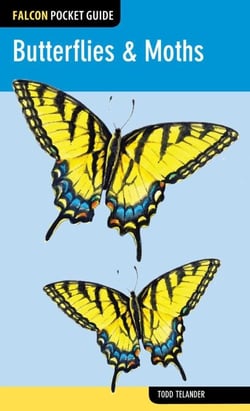 Butterflies &amp; Moths