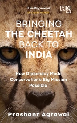 Bringing the Cheetah Back to India - How Diplomacy Made Conservation’s Big Mission Possible