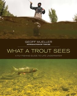 What a Trout Sees - A Fly-Fishing Guide to Life Underwater
