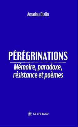 Pérégrinations - Mémoire, paradoxe, résistance et poèmes