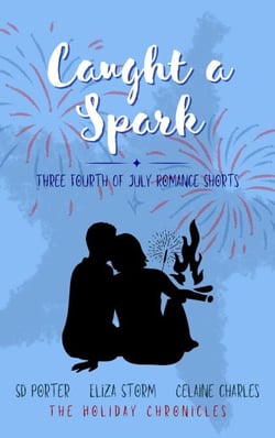 Caught a Spark - The Holiday Chronicles, #3