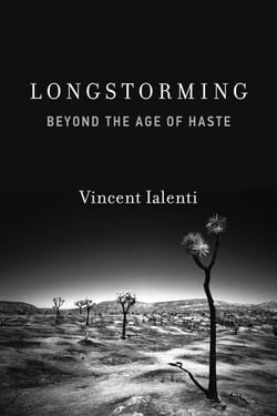Longstorming - Beyond the Age of Haste