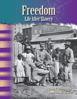 Freedom - Life After Slavery