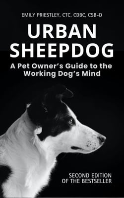 Urban Sheepdog