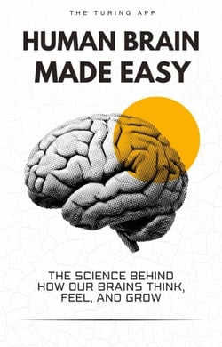Human Brain Made Easy