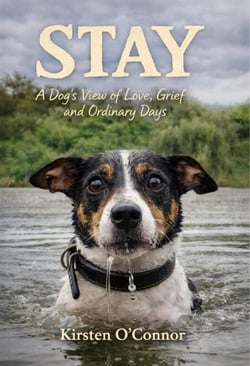 Stay: A Dog's View of Love, Grief and Ordinary Days