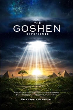 The Goshen Experience: Operating in God’s System for Unstoppable Increase, Divine Protection, and Supernatural Elevation