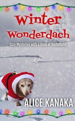 Winter Wonderdach - Cozy Mysteries with a Dash of Dachshund, #1