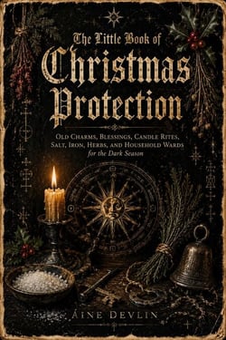 The Little Book of Christmas Protection