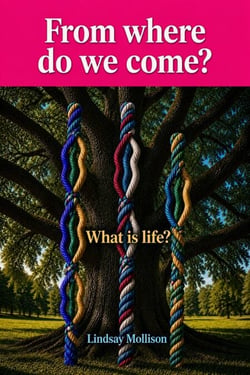 From where do we come?