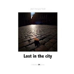 Lost in the city
