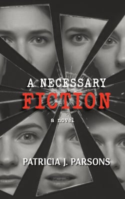 A Necessary Fiction - The Hannah Novak Detective Series, #2