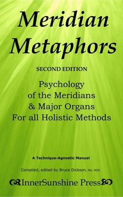 Meridian Metaphors; Second Edition; Psychology of the Meridians &amp; Major Organs For All Holistic Methods - Best Practices in Energy Medicine