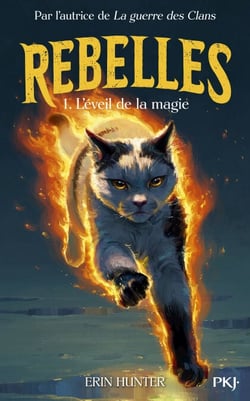 Rebelles - Tome  01 : La magie s'éveille