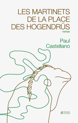 Les martinets de la place des Hogendrüs - roman