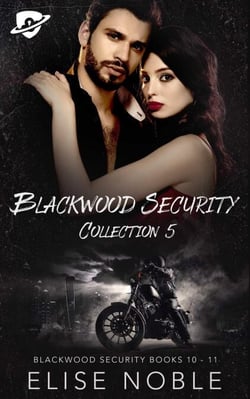 Blackwood Security Collection 5 - Blackwood Security Box Set, #5