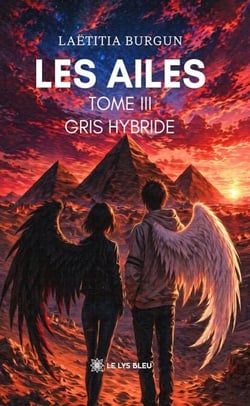 Les ailes - Tome 3 - Gris hybride