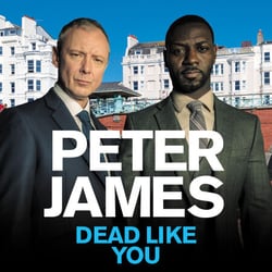 Dead Like You - The Pulse-Pounding Crime Thriller from the Multi-Million Copy Bestselling Author