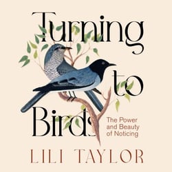 Turning to Birds - The Power and Beauty of Noticing