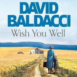 Wish You Well - An Emotional but Uplifting Historical Fiction Novel