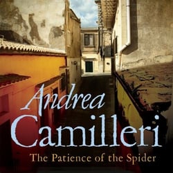 The Patience of the Spider