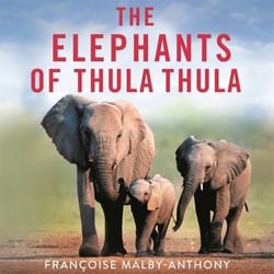The Elephants of Thula Thula - Finding peace and happiness with the herd