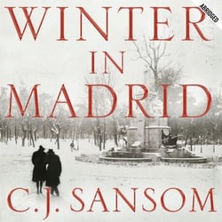 Winter in Madrid